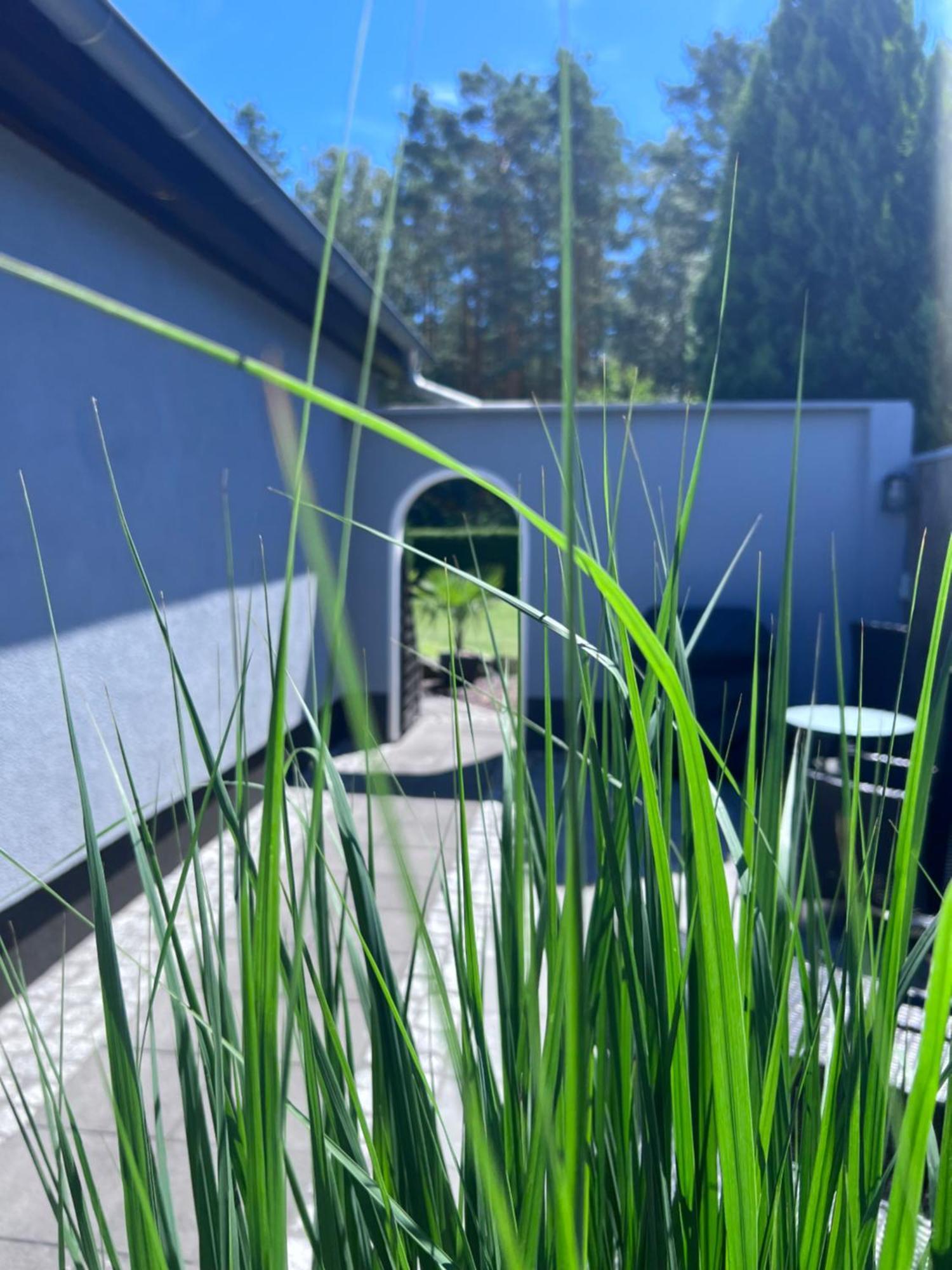 Lejlighed Zwischen Wald Und Wasser Mit Grossem Wasserbett & E-kamin Berlin